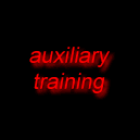 key auxiliary training