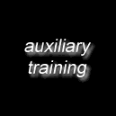 key auxiliary training